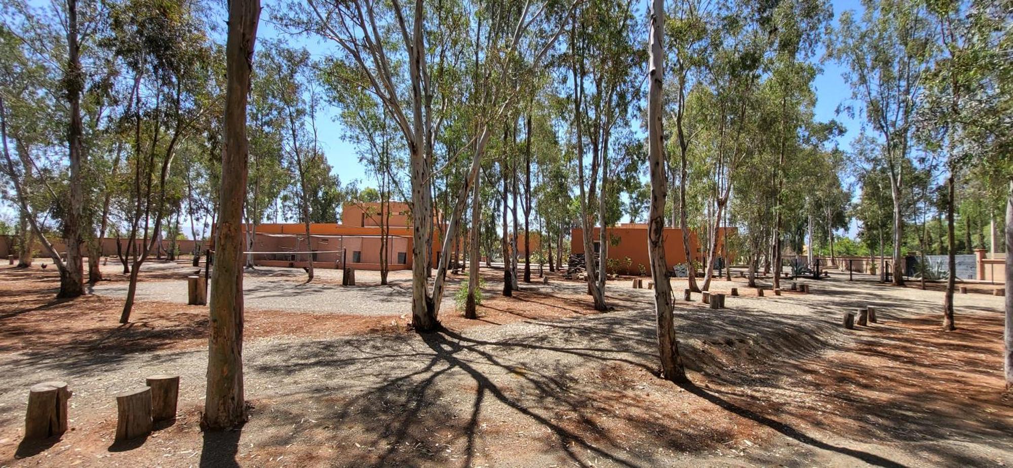 Le Jardin De Jeanne Marraquexe Exterior foto